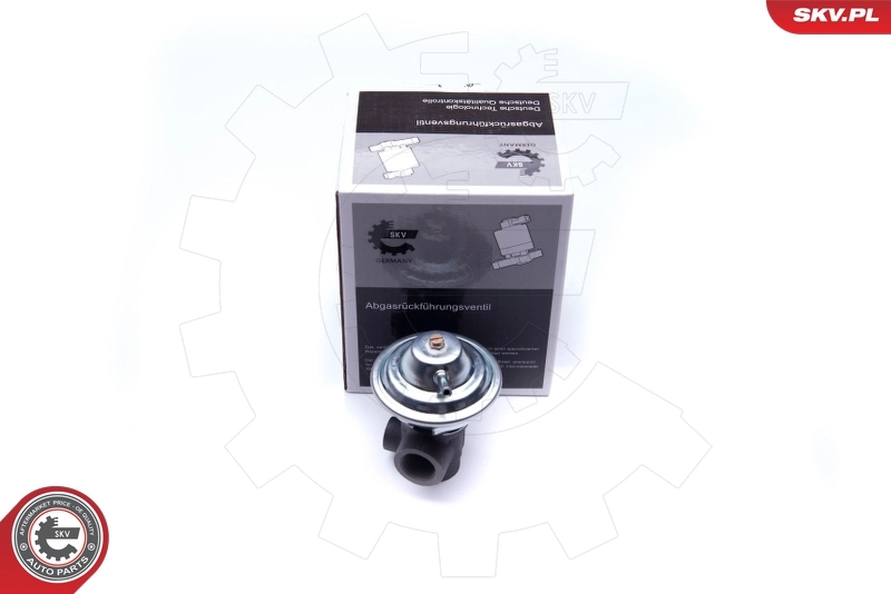 EGR Valve